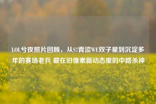 LOL兮夜照片回顾,从S7青涩WE双子星到沉淀多年的赛场老兵 藏在旧像素新动态里的中路杀神