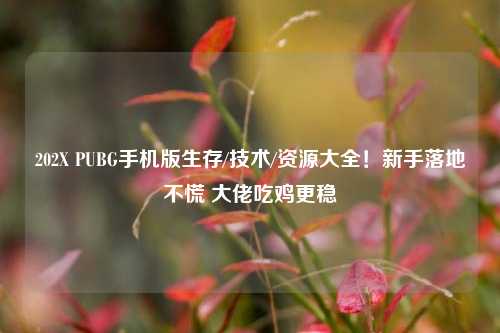 202X PUBG手机版生存/技术/资源大全!新手落地不慌 大佬吃鸡更稳
