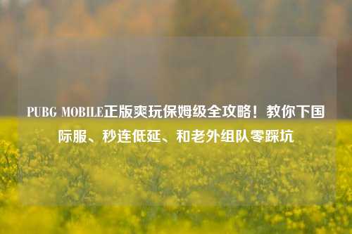 PUBG MOBILE正版爽玩保姆级全攻略!教你下国际服、秒连低延、和老外组队零踩坑