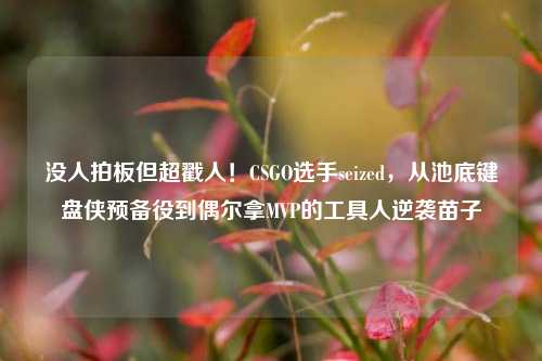 没人拍板但超戳人!CSGO选手seized,从池底键盘侠预备役到偶尔拿MVP的工具人逆袭苗子