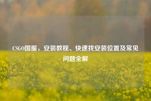 CSGO国服,安装教程、快速找安装位置及常见问题全解