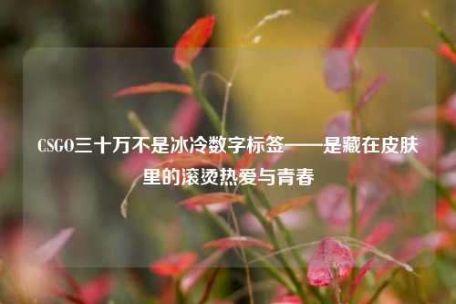CSGO三十万不是冰冷数字标签——是藏在皮肤里的滚烫热爱与青春