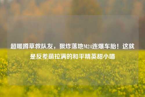 超暖蹲草救队友,狠炸落地M24连爆车胎!这就是反差萌拉满的和平精英甜小喵