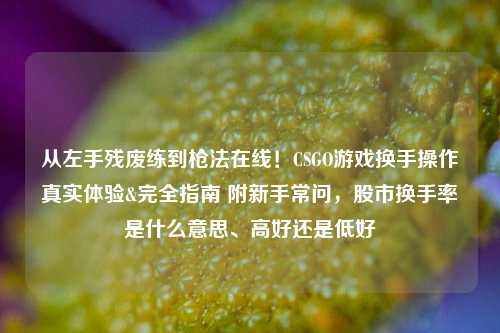 从左手残废练到枪法在线!CSGO游戏换手操作真实体验&完全指南 附新手常问,股市换手率是什么意思、高好还是低好