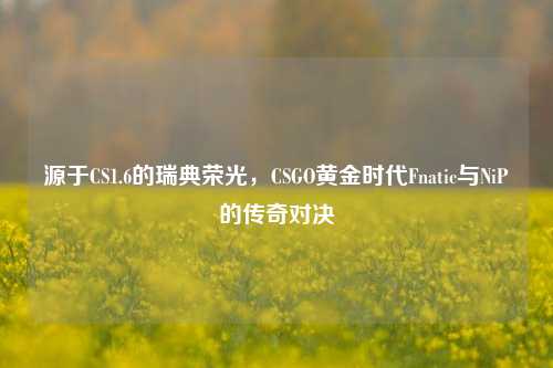 源于CS1.6的瑞典荣光,CSGO黄金时代Fnatic与NiP的传奇对决