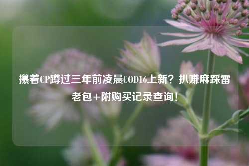 攥着CP蹲过三年前凌晨COD16上新?扒赚麻踩雷老包+附购买记录查询!