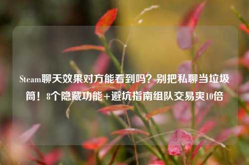 Steam聊天效果对方能看到吗?别把私聊当垃圾筒!8个隐藏功能+避坑指南组队交易爽10倍