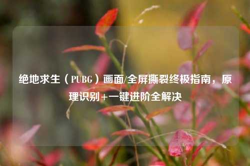 绝地求生(PUBG)画面/全屏撕裂终极指南,原理识别+一键进阶全解决