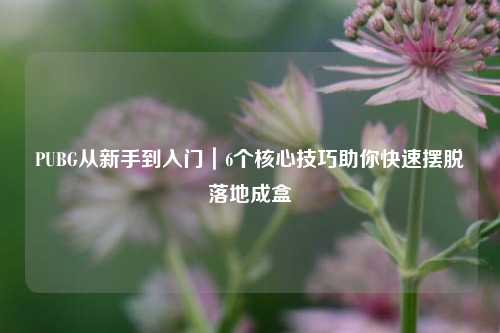 PUBG从新手到入门|6个核心技巧助你快速摆脱落地成盒