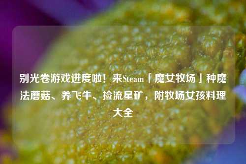 别光卷游戏进度啦!来Steam「魔女牧场」种魔法蘑菇、养飞牛、捡流星矿,附牧场女孩料理大全