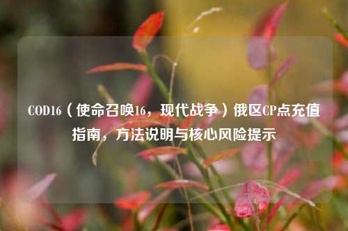 COD16(使命召唤16,现代战争)俄区CP点充值指南, 说明与核心风险提示