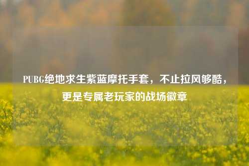 PUBG绝地求生紫蓝摩托手套,不止拉风够酷,更是专属老玩家的战场徽章