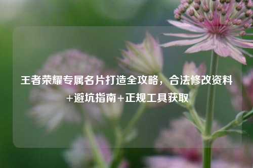 王者荣耀专属名片打造全攻略,合法修改资料+避坑指南+正规工具获取