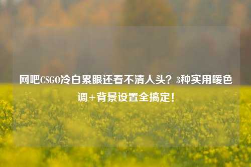网吧CSGO冷白累眼还看不清人头?3种实用暖色调+背景设置全搞定!