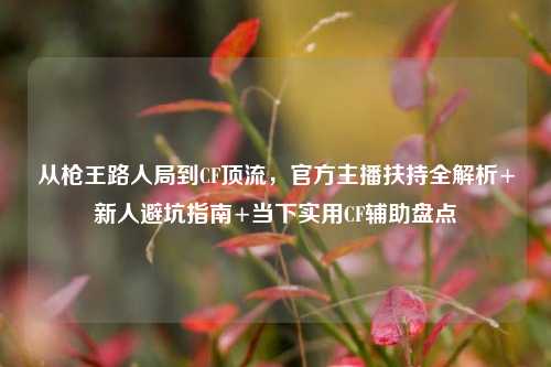 从枪王路人局到CF顶流,官方主播扶持全解析+新人避坑指南+当下实用CF辅助盘点