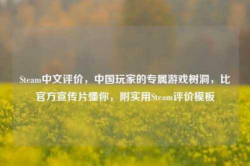 Steam中文评价,中国玩家的专属游戏树洞,比官方宣传片懂你,附实用Steam评价模板
