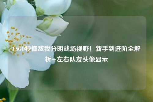 CSGO秒懂敌我分明战场视野!新手到进阶全解析+左右队友头像显示