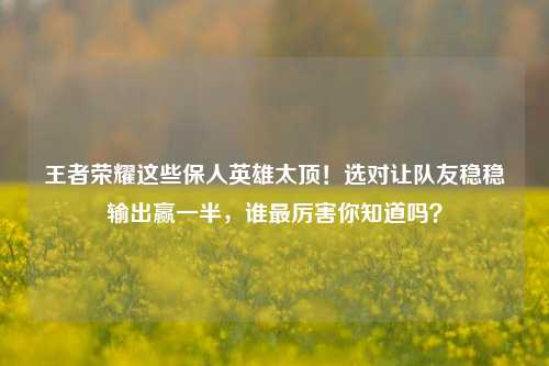 王者荣耀这些保人英雄太顶!选对让队友稳稳输出赢一半,谁最厉害你知道吗?