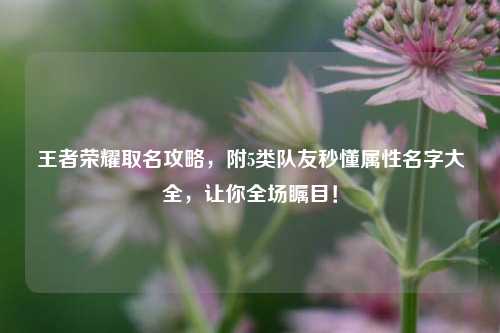 王者荣耀取名攻略,附5类队友秒懂属性名字大全,让你全场瞩目!