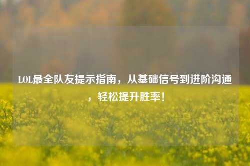 LOL最全队友提示指南,从基础信号到进阶沟通,轻松提升胜率!