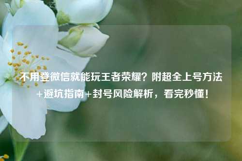 不用登微信就能玩王者荣耀?附超全上号 +避坑指南+封号风险解析,看完秒懂!