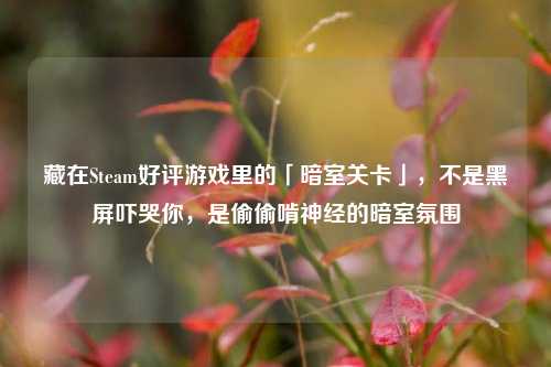 藏在Steam好评游戏里的「暗室关卡」,不是黑屏吓哭你,是偷偷啃神经的暗室氛围