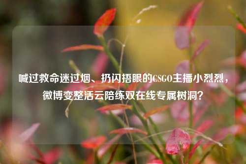 喊过救命迷过烟、扔闪捂眼的CSGO主播小烈烈,微博变整活云陪练双在线专属树洞?