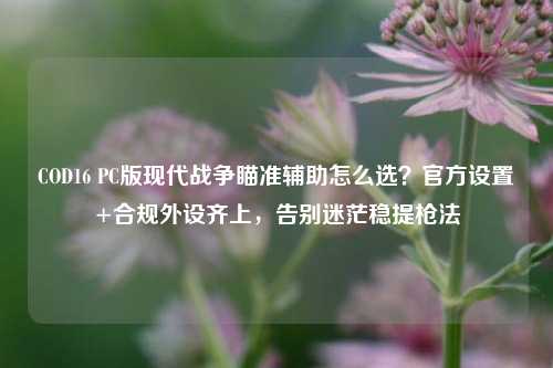 COD16 PC版现代战争瞄准辅助怎么选?官方设置+合规外设齐上,告别迷茫稳提枪法