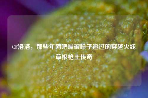 CF洛洛,那些年网吧喊破嗓子追过的穿越火线草根枪王传奇