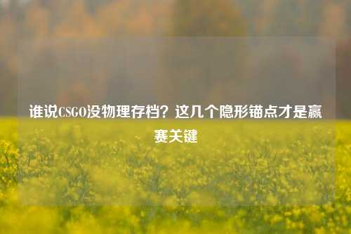谁说CSGO没物理存档?这几个隐形锚点才是赢赛关键