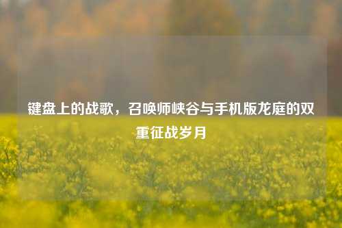 键盘上的战歌,召唤师峡谷与手机版龙庭的双重征战岁月