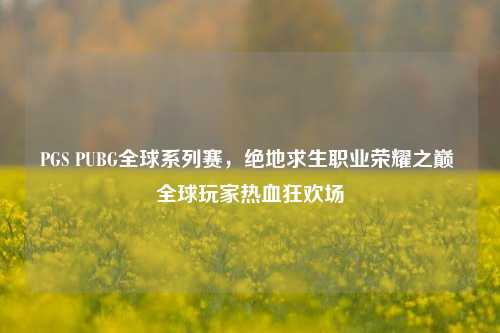 PGS PUBG全球系列赛,绝地求生职业荣耀之巅 全球玩家热血狂欢场