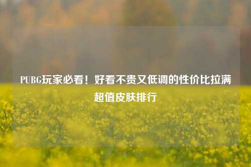 PUBG玩家必看!好看不贵又低调的性价比拉满超值皮肤排行