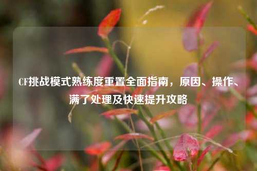 CF挑战模式熟练度重置全面指南,原因、操作、满了处理及快速提升攻略