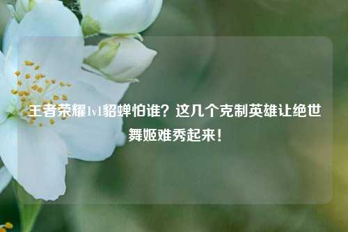 王者荣耀1v1貂蝉怕谁?这几个克制英雄让绝世舞姬难秀起来!