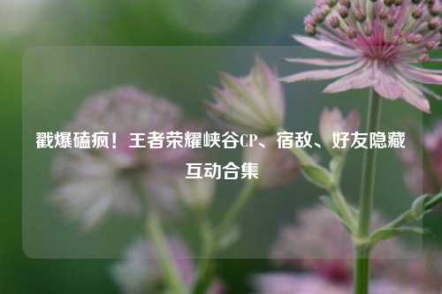 戳爆磕疯!王者荣耀峡谷CP、宿敌、好友隐藏互动合集
