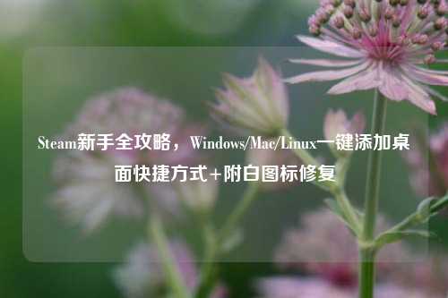 Steam新手全攻略,Windows/Mac/Linux一键添加桌面快捷方式+附白图标修复