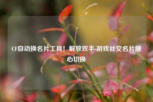 CF自动换名片工具!解放双手 游戏社交名片随心切换