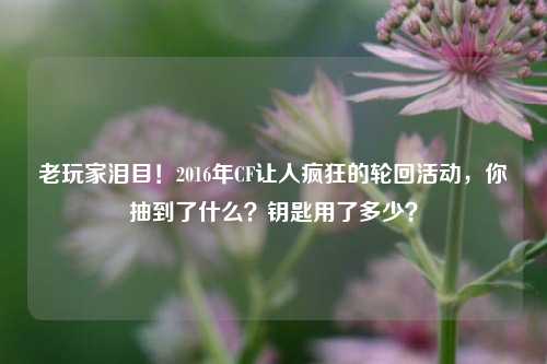 老玩家泪目!2016年CF让人疯狂的轮回活动,你抽到了什么?钥匙用了多少?