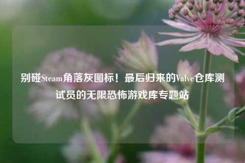 别碰Steam角落灰图标!最后归来的Valve仓库测试员的无限恐怖游戏库专题站