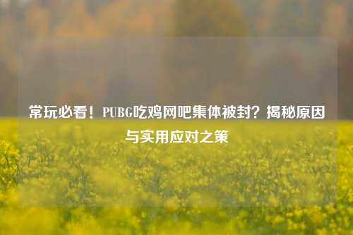 常玩必看!PUBG吃鸡网吧集体被封?揭秘原因与实用应对之策