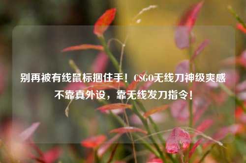 别再被有线鼠标捆住手!CSGO无线刀神级爽感不靠真外设,靠无线发刀指令!