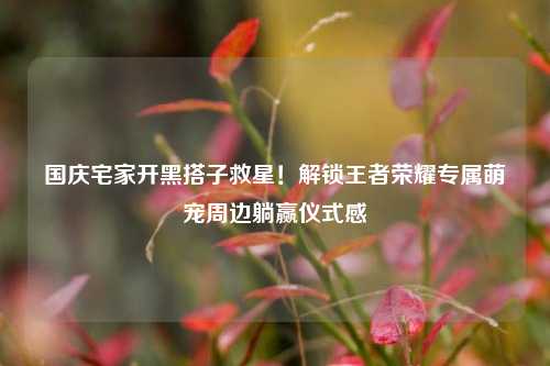 国庆宅家开黑搭子救星!解锁王者荣耀专属萌宠周边躺赢仪式感