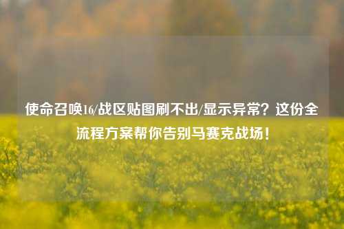 使命召唤16/战区贴图刷不出/显示异常?这份全流程方案帮你告别马赛克战场!
