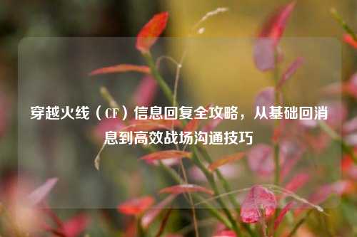 穿越火线(CF)信息回复全攻略,从基础回消息到高效战场沟通技巧