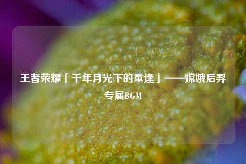 王者荣耀「千年月光下的重逢」——嫦娥后羿专属BGM