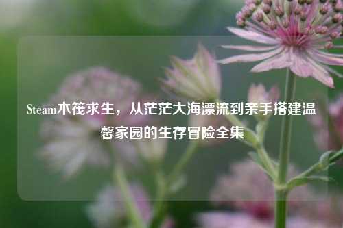 Steam木筏求生,从茫茫大海漂流到亲手搭建温馨家园的生存冒险全集