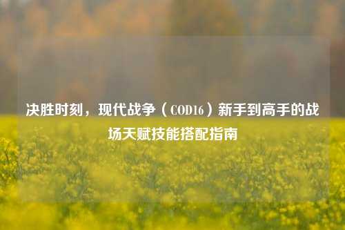 决胜时刻,现代战争(COD16)新手到高手的战场天赋技能搭配指南