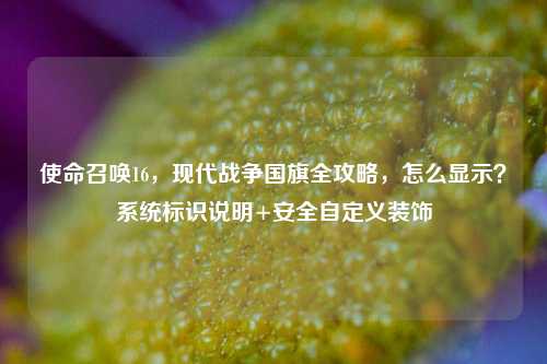 使命召唤16,现代战争国旗全攻略,怎么显示?系统标识说明+安全自定义装饰