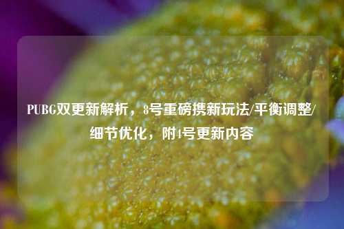 PUBG双更新解析,8号重磅携新玩法/平衡调整/细节优化,附4号更新内容